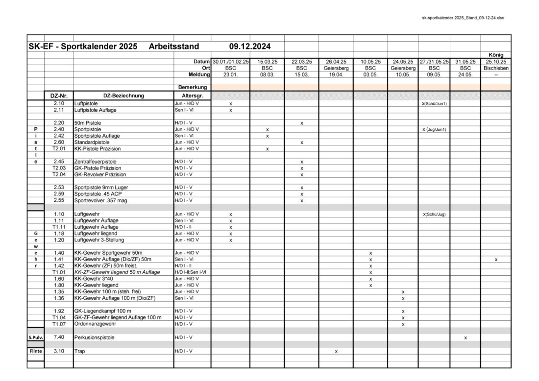 Sportplan 2025_